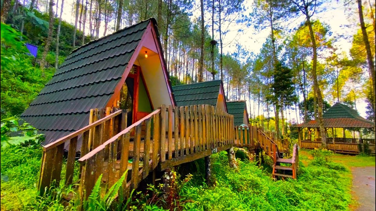 Telomoyo Nature Park: Surga Tersembunyi di Lereng Gunung